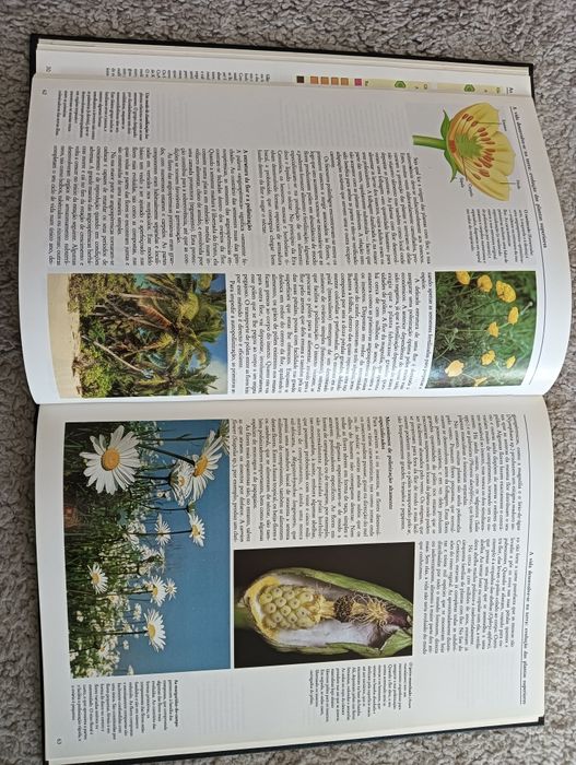 A vida	-	Ardley, Neil; Matthews, Robert  Como novo!