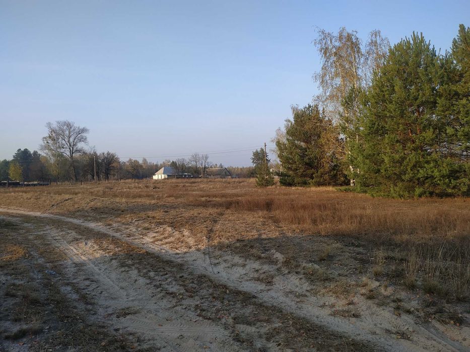 Продам ділянку 20 соток під забудову біля лісу с. Жукин