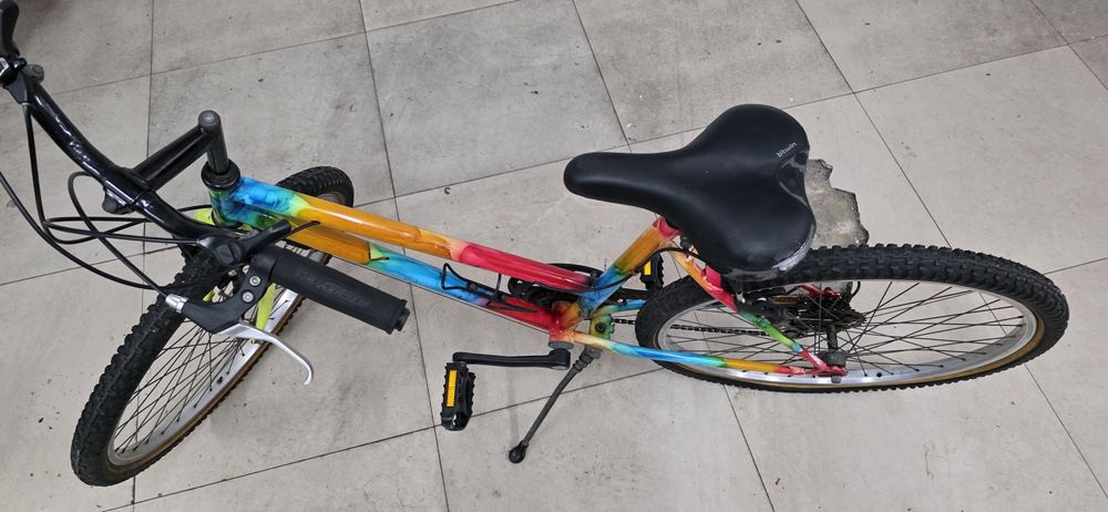 Bicicleta  Superba Roda 24