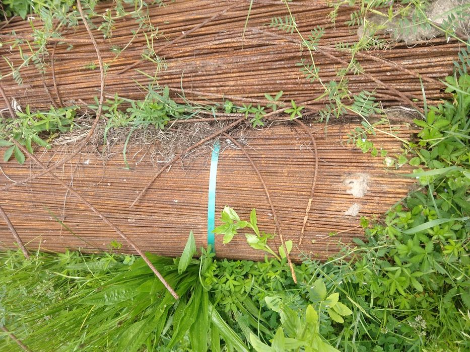 Stal  zebrowana fI 6,810