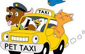 Transport, przewóz zwierząt domowych, psy, koty i inne.