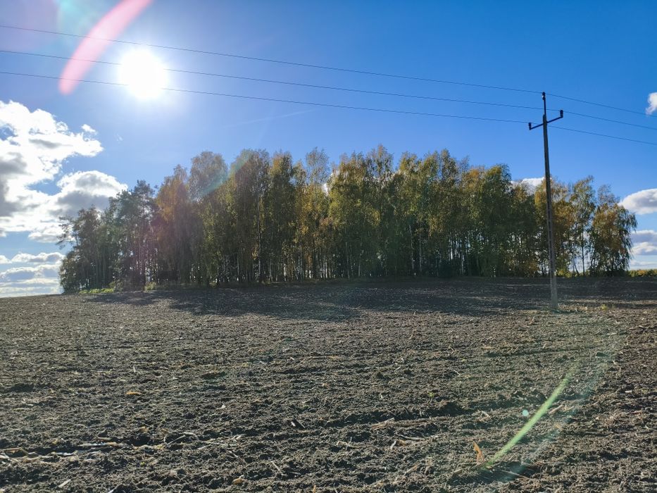 Gospodarstwo rolne 11 ha