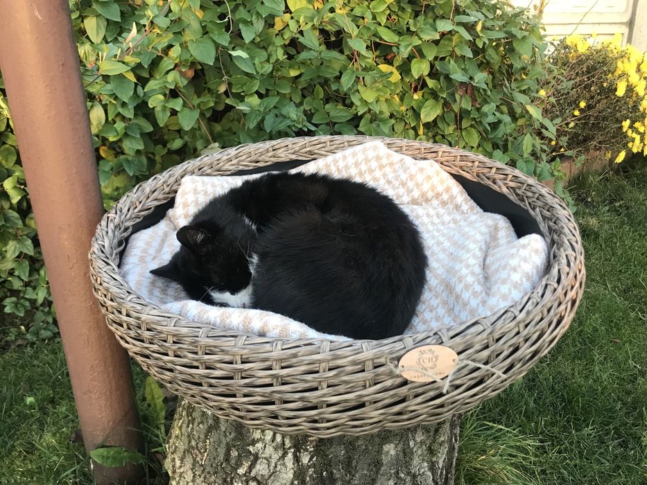 Вироби зі штучного ротангу