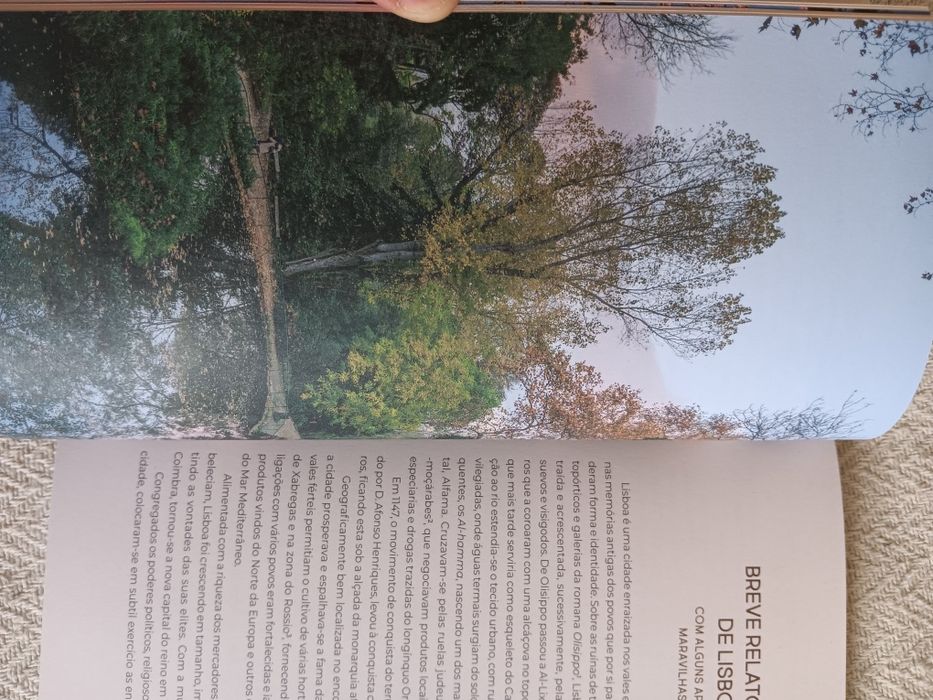 Ivo Meco, Jardins de Lisboa