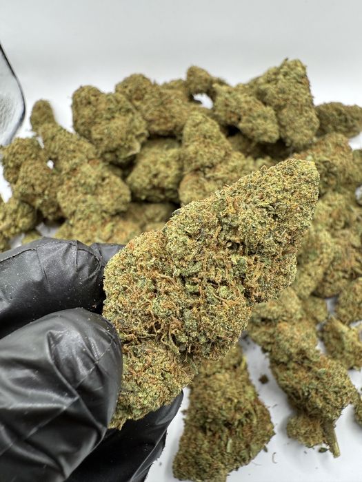 Susz CBD Indoor Og Kush/THC< 0.3%