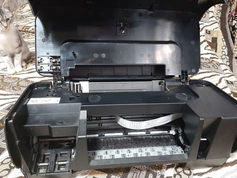 Принтер / Принтер Canon iP1800 Pixma