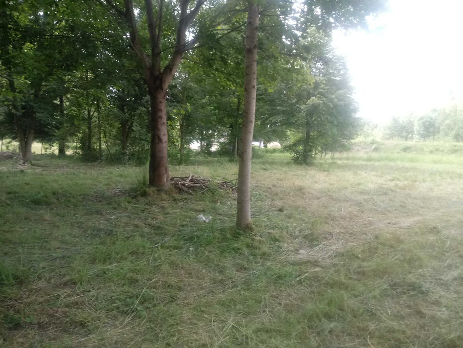 Siedliskowa z możliwością agroturystyki, 5 km od Karpacza