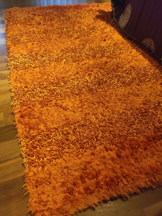 Tapete cor de laranja pêlo longo e curto
