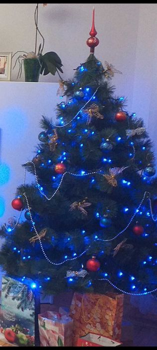 Ялинка новорічна висота  1,70м не лита.