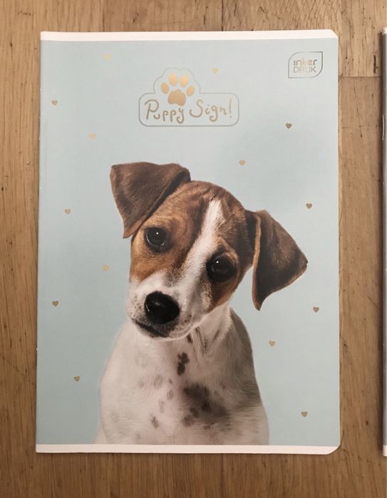 Zeszyt w kratkę A5 48tknsz