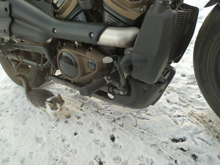 Мотоцикл Sportster S