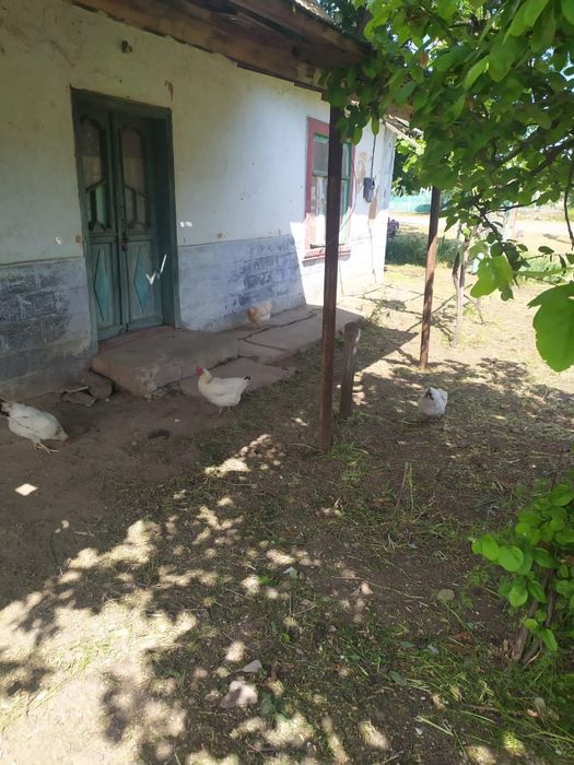 Земля (с Домом в подарок) Собственник, обмен на Бус