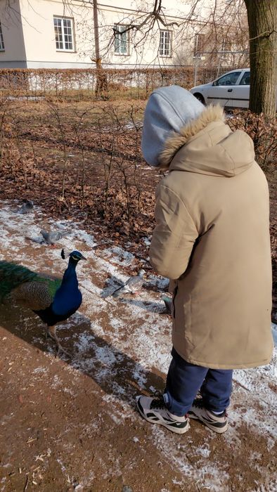 Kurtka zimowa  Reserved,  rozmiar 158