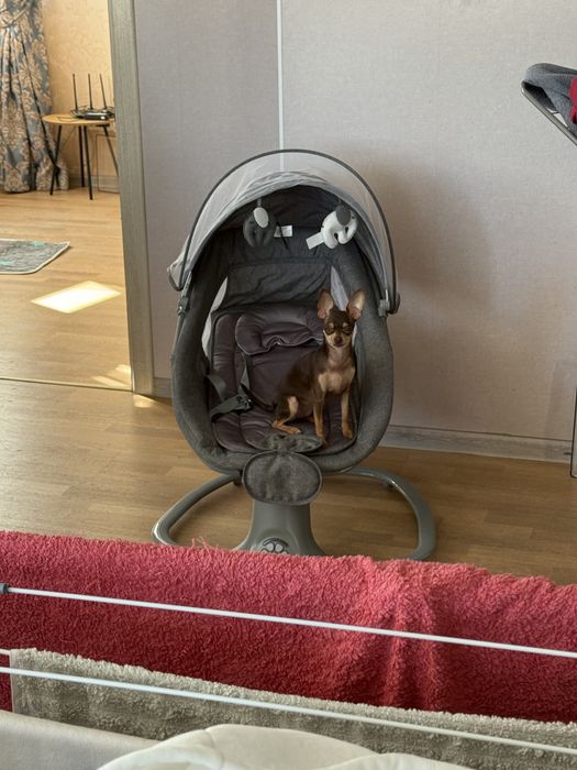 Крісло-гойдалка Kikka boo Winks Grey 2024