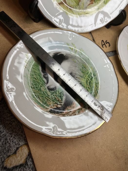 talerze LIMOGES projekt WAKELIN gronostaj borsuk lis