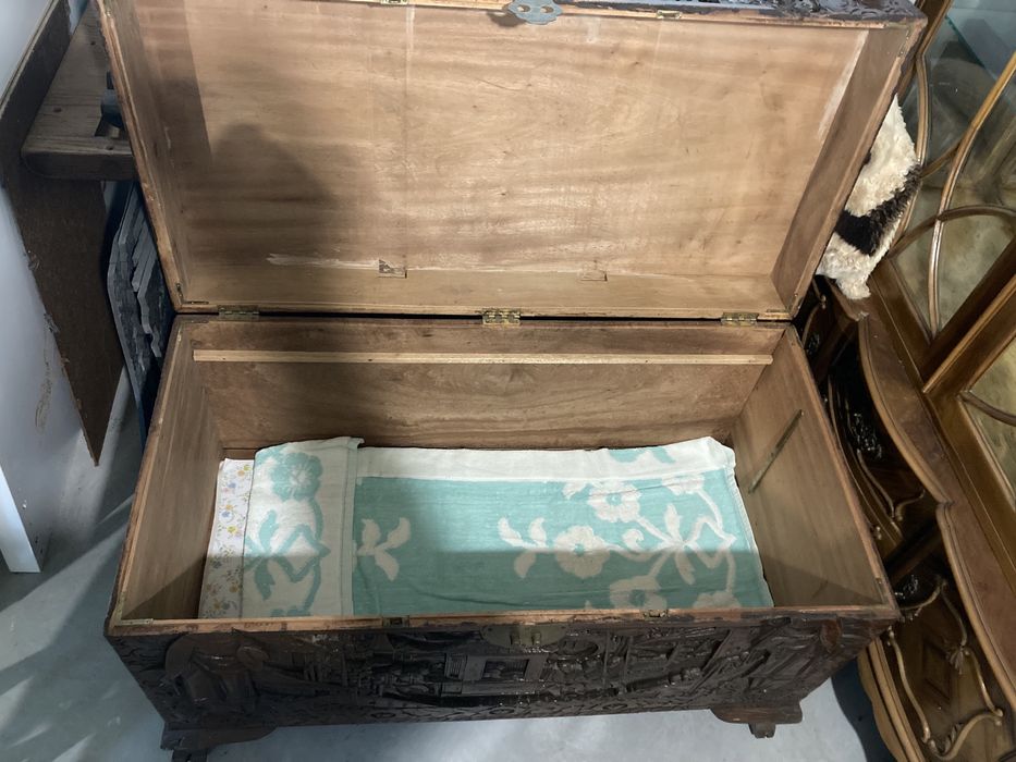 Arca em Canfora como nova