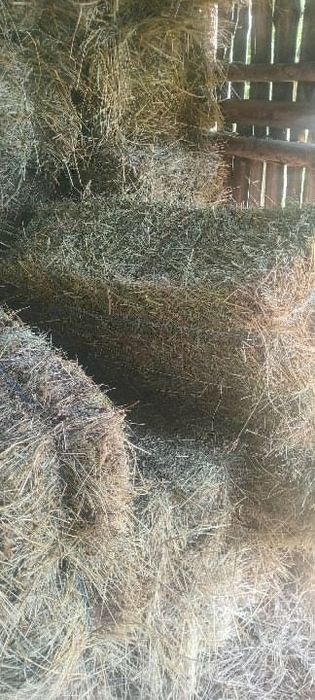 Продам сіно в тюках