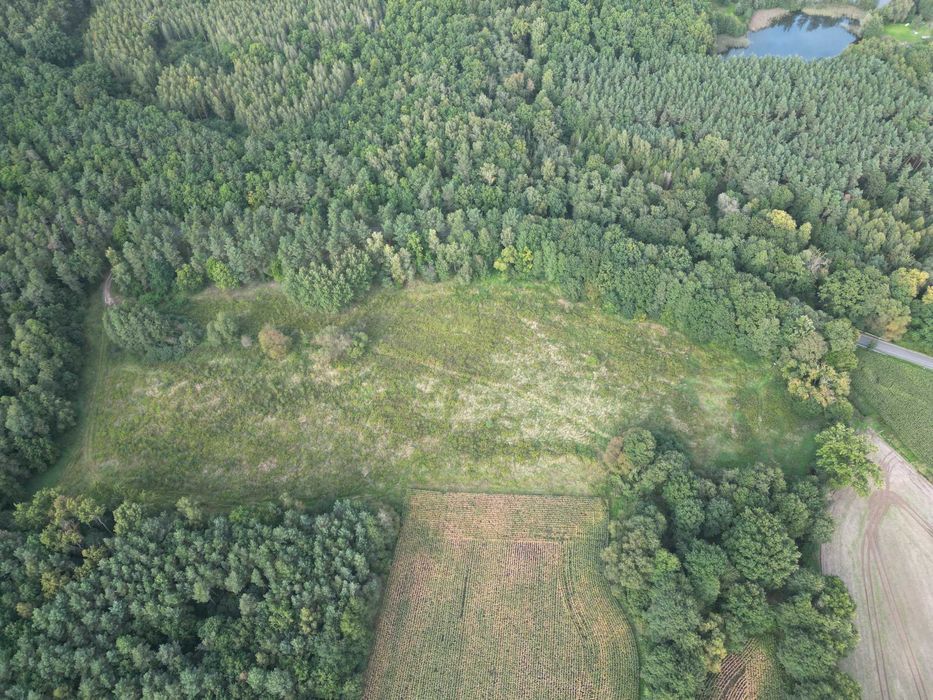 Działka inwestycyjna z terenem usług lub elektrowni słonecznej