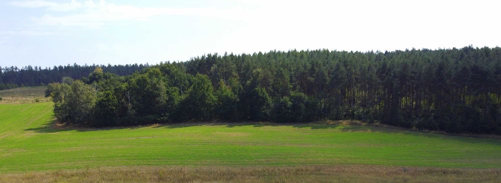 1500 m² Osówiec – Działki z WZ | BLISKO BYDGOSZCZY - Więcej