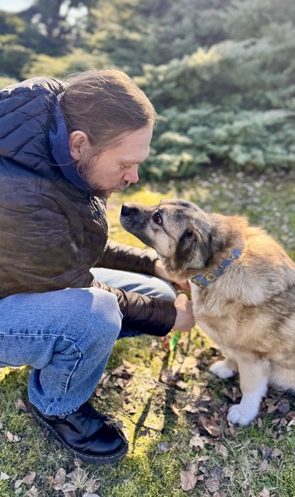 Bajla … tyle straconych lat. Ratunku! Adoptuj
