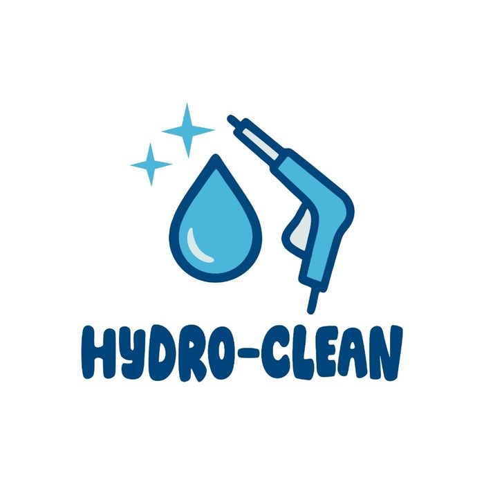 Mobilna myjnia parowa-pranie tapicerki, dywanów, aut, dezynfekcja.