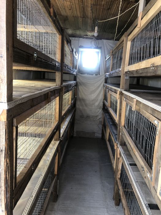 Клетки для бройлеров