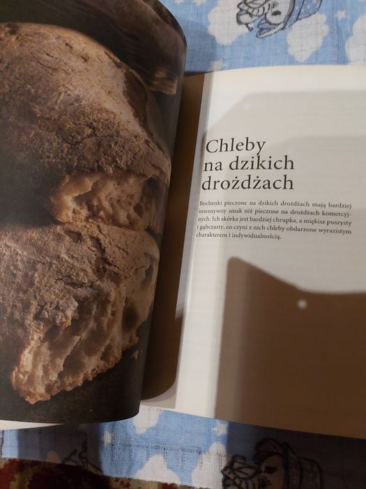 Sprzedam książka-Wypiekanie chleba Dan Lepard