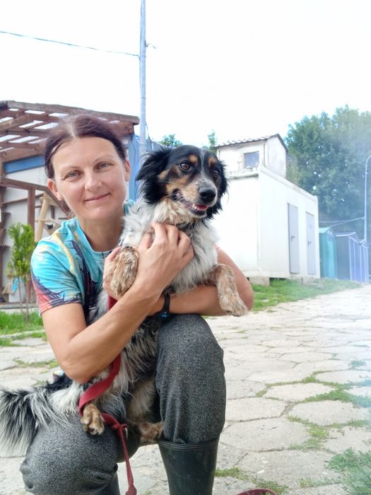 Pepper, lubi KOTY, mały. (FILMIKI)