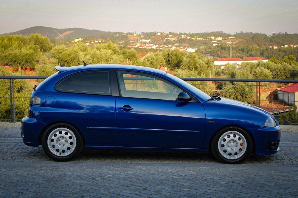 Seat Ibiza 6L PD 3xx