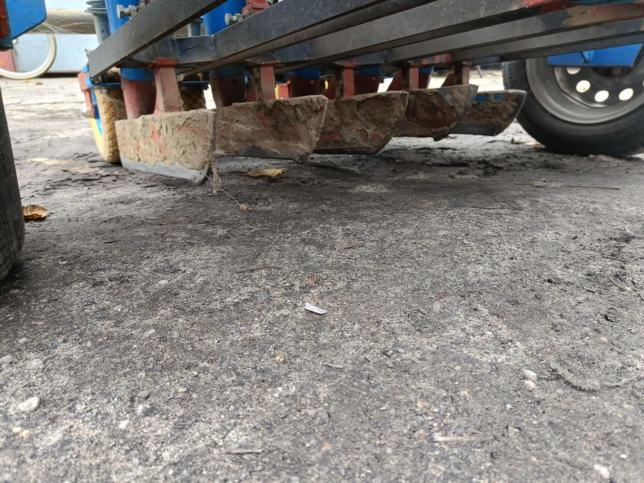 Sadzarka do cebuli dymki