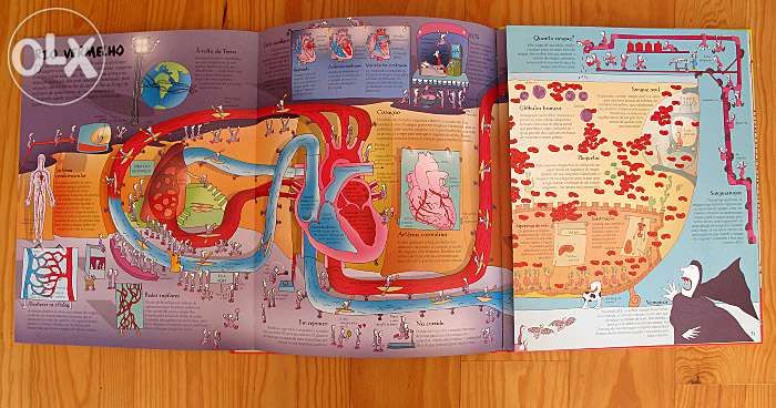 Ciência, Natureza e e Experiências