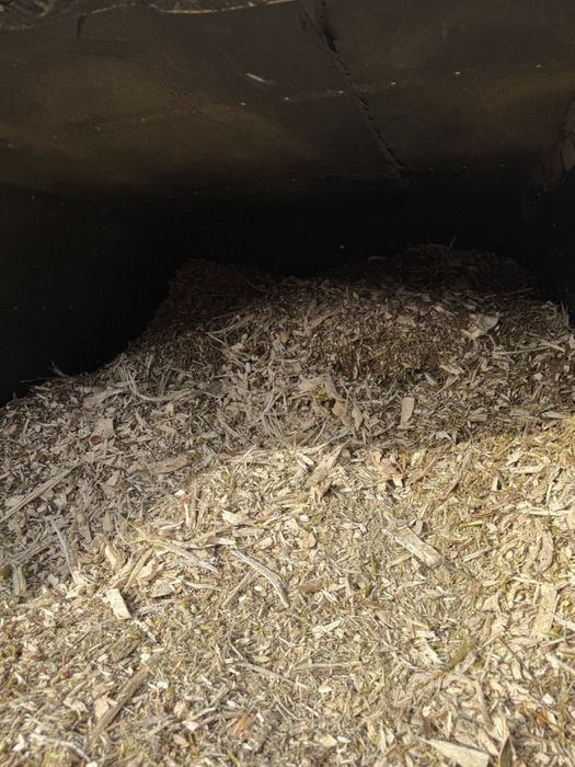 Zrębka opałowa – mix