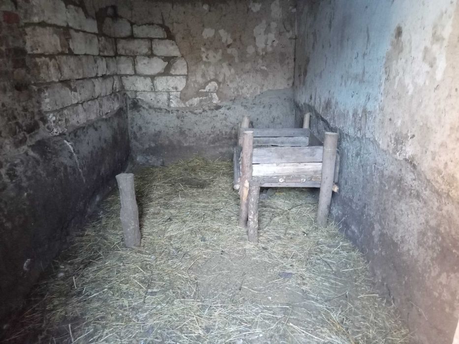 Продаю будинок у селі