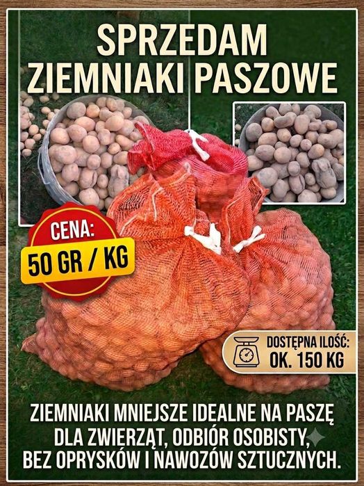 Ziemniaki paszowe
