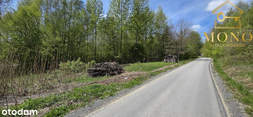 Duża, widokowa działka z lasem na terenie Pogórza Ciężkowickiego - Widok 3