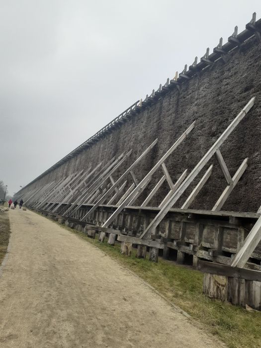 Konstrukcja szkieletowa