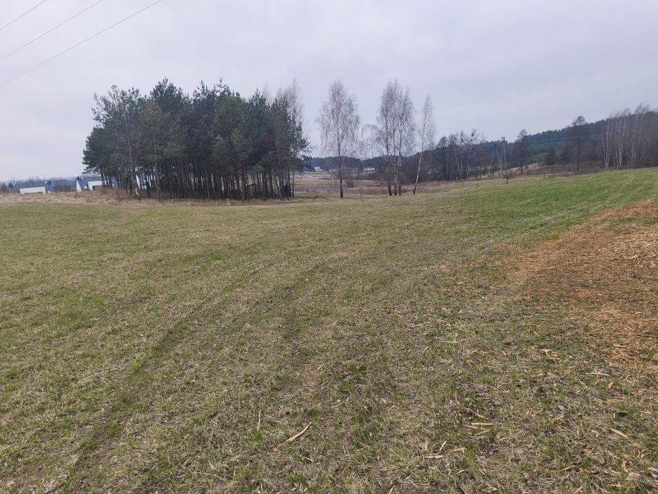 Działka budowlana Krynice