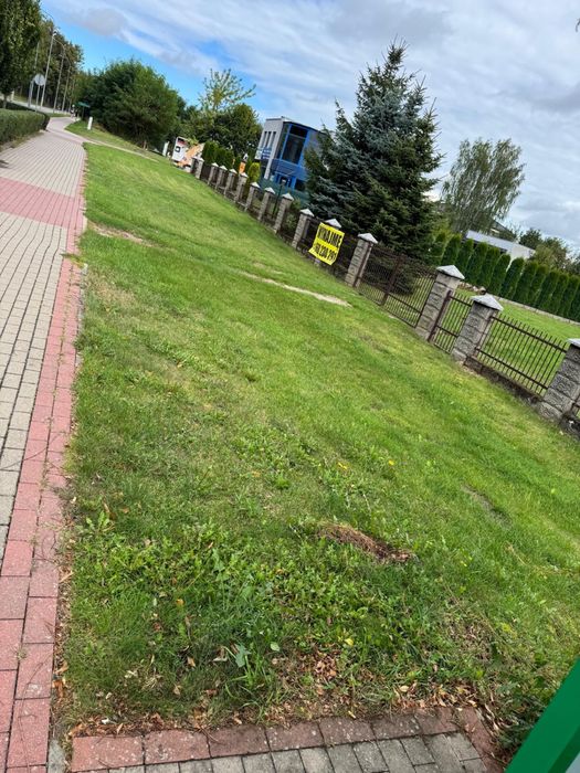 Zdjęcie 3