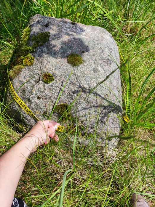 Kamienie dekoracyjne z ogrodu
