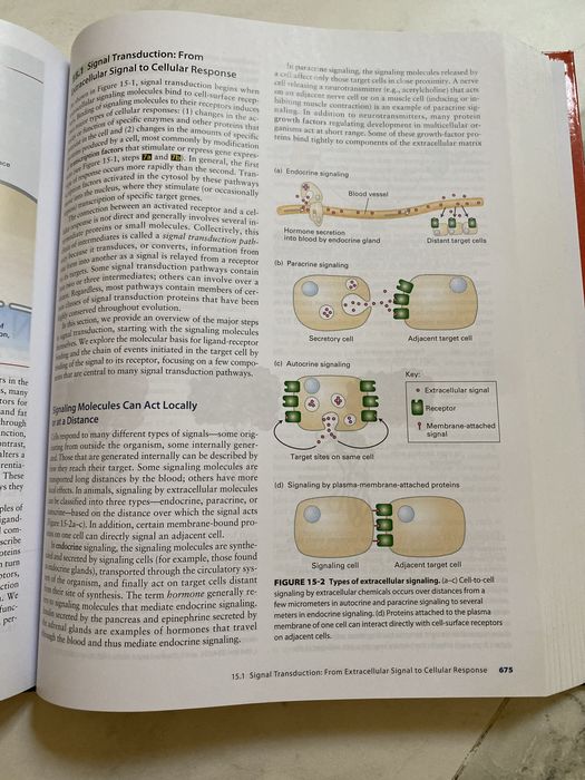Livro técnico - Lodish Molecular Cell Biology 7th Edition