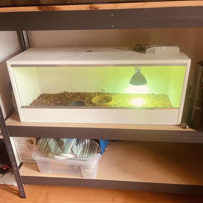 Terrarium  todo equipado