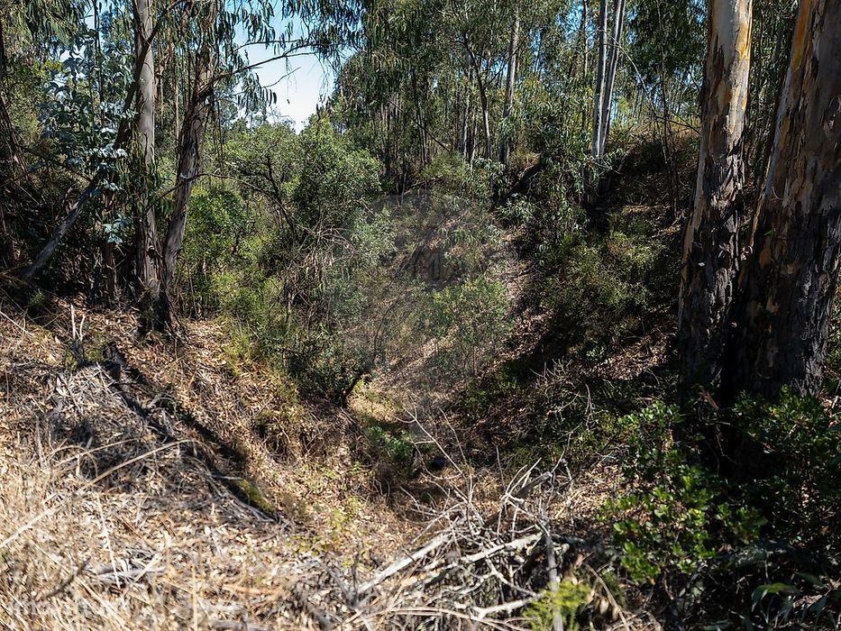 Terreno  para venda