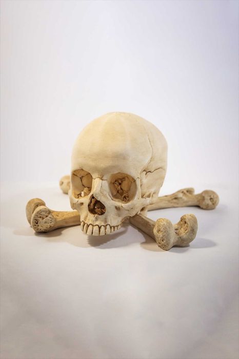 Crânio humano tamanho real - Impressão 3D e pintado à mão - Halloween