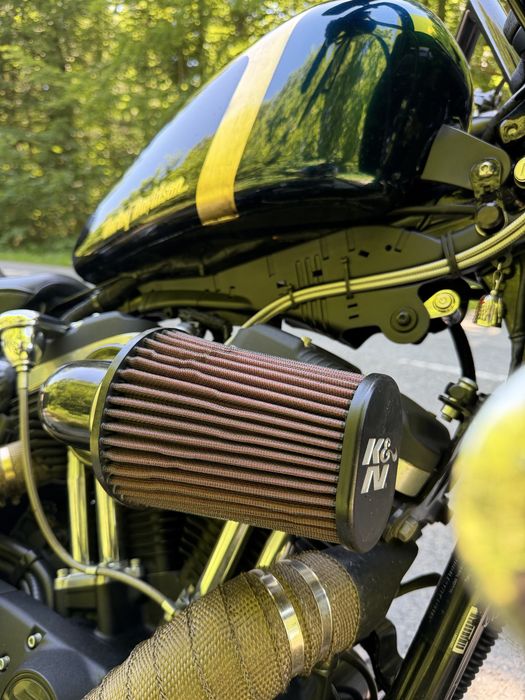 Harley-Davidson (Sportster) iron 883N/1200 Custom