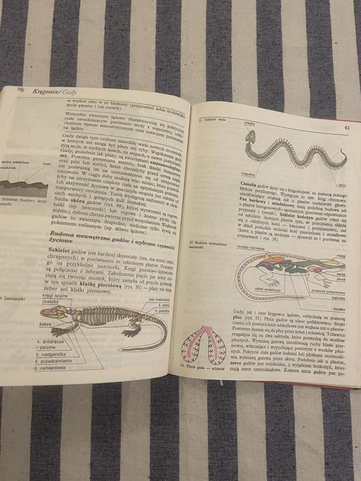 Biologia klasa 6 podręcznik z 1990