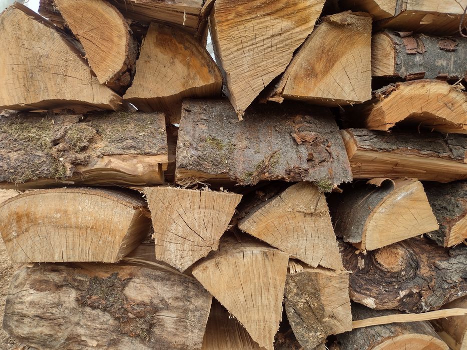 Drzewo, drewno opałowe kominkowe