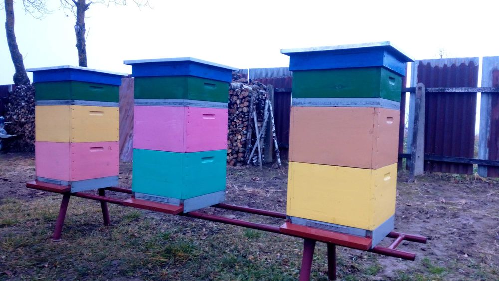 Ule wielkopolskie drewniane jednościenne