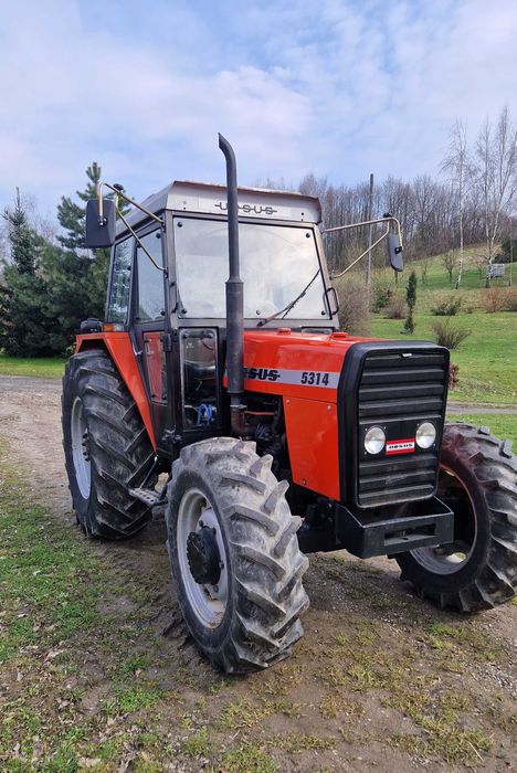 Ursus 5314 Massey Ferguson zamiana