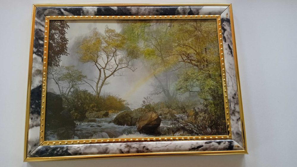 Продам картины в рамке: 60 грн. - Живопись Николаев на Olx