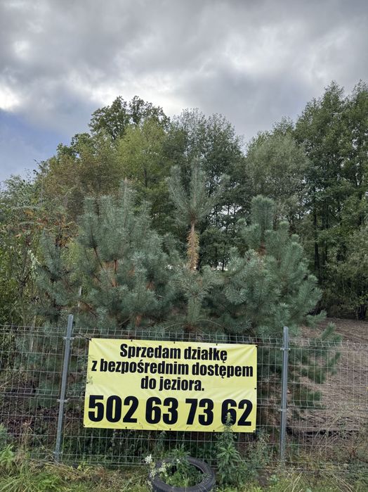 Sprzedam działkę  w pierwszej lini brzegowej jezioro Marwicko